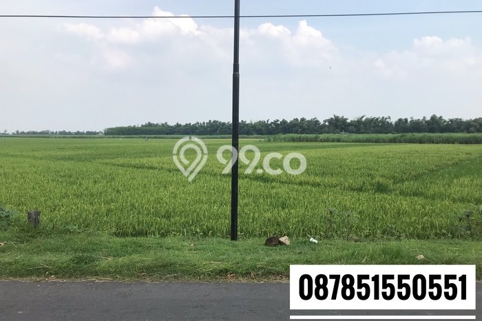 Dijual Tanah di Lengkong Nganjuk Luas 50000m2 - Dijual Tanah di Lengkong Nganjuk Luas 50000m2 -