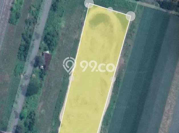 Jarang Ada! Tanah di Juwiring Punya Luas 13000m2 SHM Jarang Ada! Tanah di Juwiring Punya Luas 13000m2 SHM