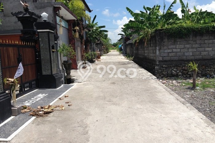 Land For Lease Cepaka Tabanan 4 Are 7,5 Juta/are/tahun Land For Lease Cepaka Tabanan 4 Are 7,5 Juta/are/tahun