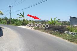Untuk Dijual Tanah 100m2 di canggu, Badung Untuk Dijual Tanah 100m2 di canggu, Badung