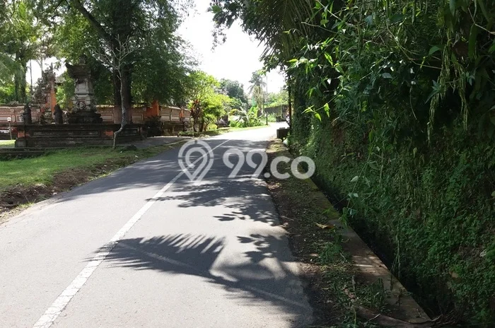 Lahan Sewa di Ubud Gianyar dengan Luas 600m2 Lahan Sewa di Ubud Gianyar dengan Luas 600m2