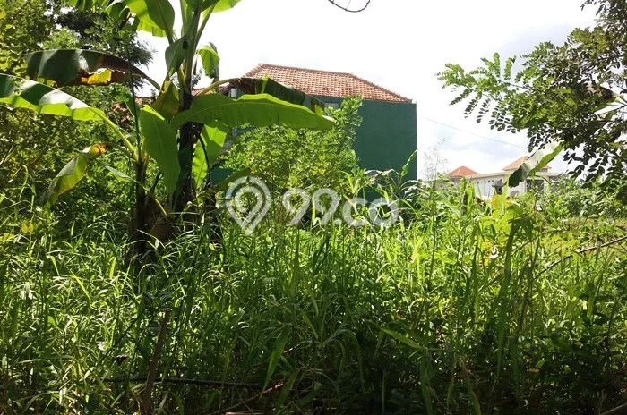 Lahan Sewa di Ubud Gianyar dengan Luas 600m2 Lahan Sewa di Ubud Gianyar dengan Luas 600m2