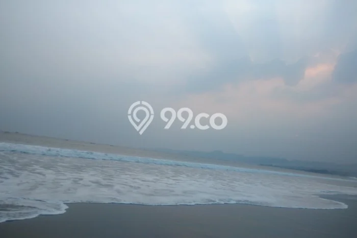Untuk Dijual Tanah di Bayah Lebak Luas 20000m2 SHM Untuk Dijual Tanah di Bayah Lebak Luas 20000m2 SHM