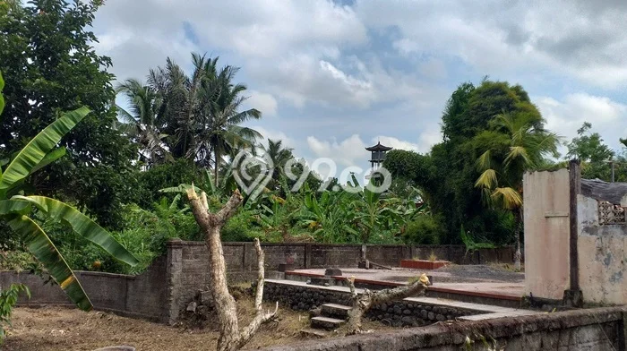 Sangat Dicari! Lahan Kosong Disewakan di Ubud, Gianyar Sangat Dicari! Lahan Kosong Disewakan di Ubud, Gianyar