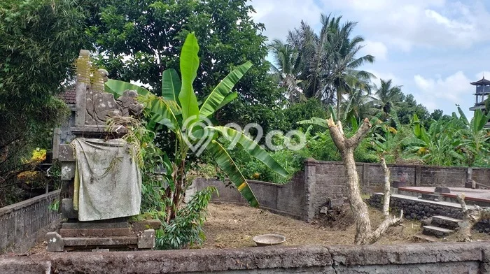 Sangat Dicari! Lahan Kosong Disewakan di Ubud, Gianyar Sangat Dicari! Lahan Kosong Disewakan di Ubud, Gianyar