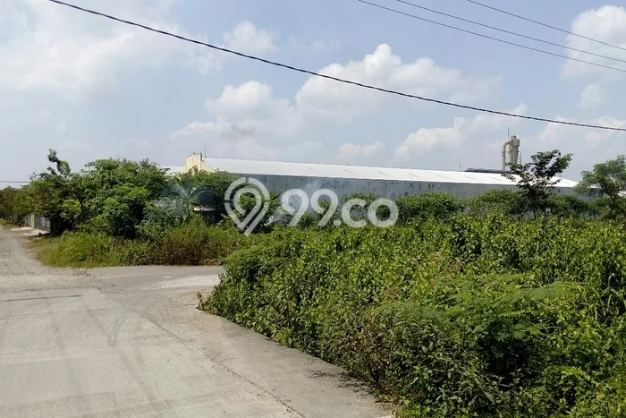 AREA PROSPEKTIF! Tanah Kawasan Kalijambe, Luas 6000m², Dekat Transportasi AREA PROSPEKTIF! Tanah Kawasan Kalijambe, Luas 6000m², Dekat Transportasi