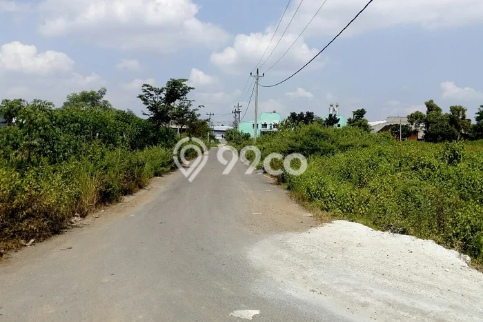 Tanah di Kalijambe, Luas 54999m², Jalur Strategis Tanah di Kalijambe, Luas 54999m², Jalur Strategis