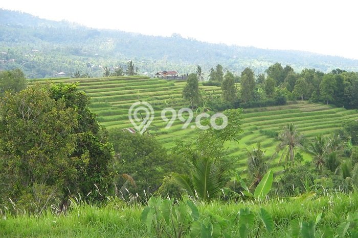 Tanah View Laut Cantik di Ambengan, Sukasada Tanah View Laut Cantik di Ambengan, Sukasada
