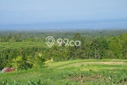Tanah View Laut Cantik di Ambengan, Sukasada Tanah View Laut Cantik di Ambengan, Sukasada