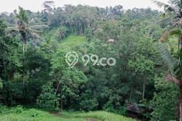Tanah Riverside dan View Lembah di Ubud, 10 mnt ke Sentral Ubud Tanah Riverside dan View Lembah di Ubud, 10 mnt ke Sentral Ubud