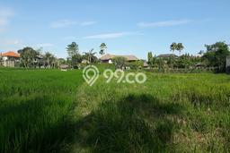 Tanah Cantik View Sawah di Pererenan, 2 mnt ke Echo Beach Tanah Cantik View Sawah di Pererenan, 2 mnt ke Echo Beach