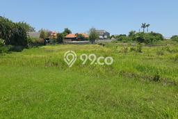 Nice Location!! 21 Are Rice Field View at Umalas 2, 5 mins to Petitenget Nice Location!! 21 Are Rice Field View at Umalas 2, 5 mins to Petitenget
