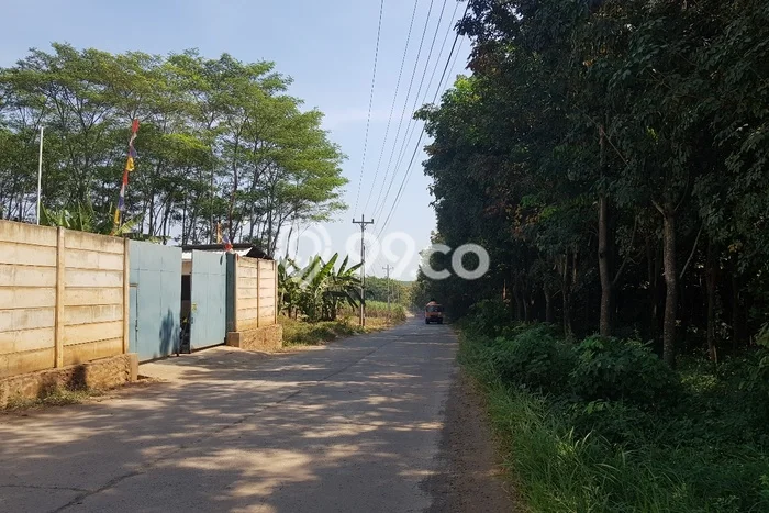 Tanah Komersial Dijual di Gringsing Batang 28270m2 Tanah Komersial Dijual di Gringsing Batang 28270m2