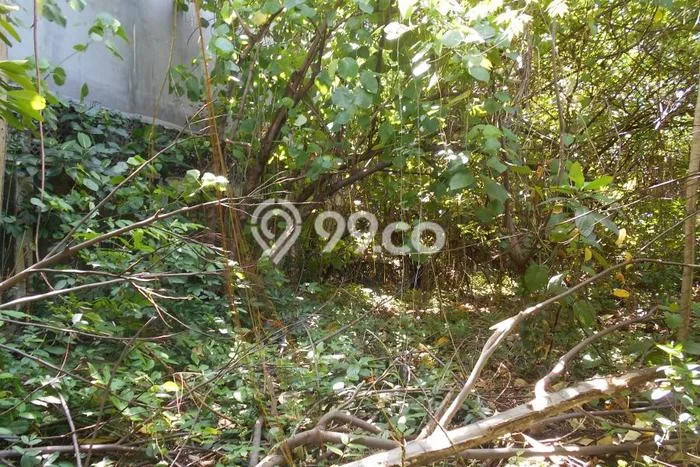 Kavling Tanah untuk Dijual di Bangka, Jakarta Selatan, Luas 1465m2 Kavling Tanah untuk Dijual di Bangka, Jakarta Selatan, Luas 1465m2