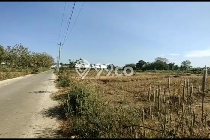 Tanah Lokasi Premium di Kalijambe, Luas 54999m², Ideal untuk Bisnis Tanah Lokasi Premium di Kalijambe, Luas 54999m², Ideal untuk Bisnis