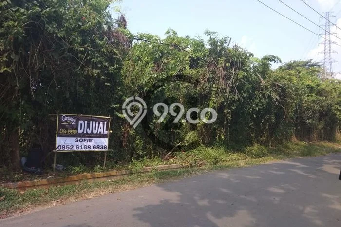 Dijual Tanah di Rangkasbitung Lebak Luas 7502m2 SHM Dijual Tanah di Rangkasbitung Lebak Luas 7502m2 SHM