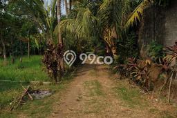 Tanah Dijual Lokasi Ciputat Tangerang Selatan SHM Tanah Dijual Lokasi Ciputat Tangerang Selatan SHM