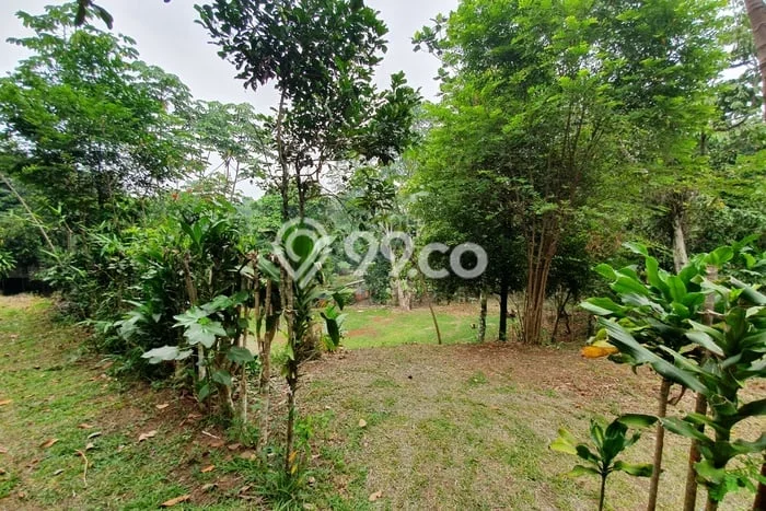 Tanah Kavling di Sawangan Dijual dengan Luas 20000m2 Tanah Kavling di Sawangan Dijual dengan Luas 20000m2