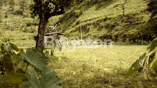 Tanah Kavling untuk Dijual di Pujon Malang 1597m2 Tanah Kavling untuk Dijual di Pujon Malang 1597m2