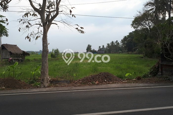 Tanah di pinggir Jalan besar Tanah di pinggir Jalan besar