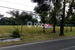For Sale Tanah Kawasan Tasikmadu, Luas 12790m², Akses Tasikmadu, Karanganyar, Karanganyar For Sale Tanah Kawasan Tasikmadu, Luas 12790m², Akses Tasikmadu, Karanganyar, Karanganyar