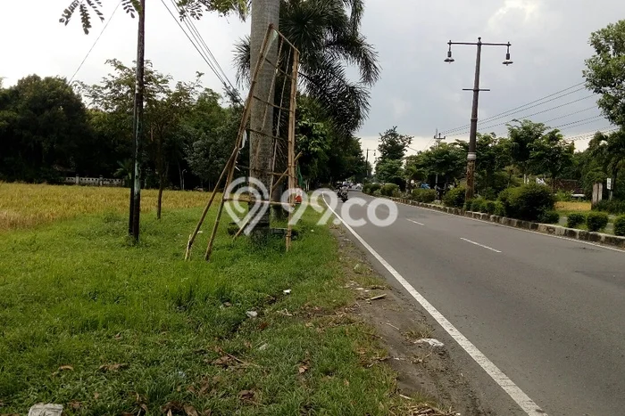 Untuk Dijual Tanah di Tasikmadu Karanganyar Luas 7986m2 SHM Untuk Dijual Tanah di Tasikmadu Karanganyar Luas 7986m2 SHM