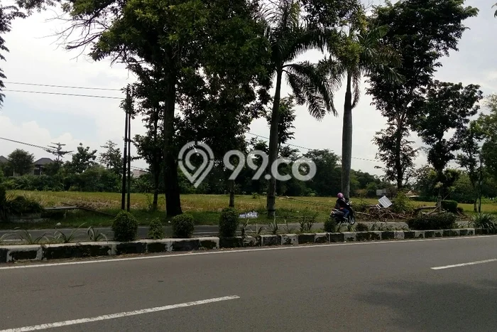 Untuk Dijual Tanah di Tasikmadu Karanganyar Luas 7986m2 SHM Untuk Dijual Tanah di Tasikmadu Karanganyar Luas 7986m2 SHM