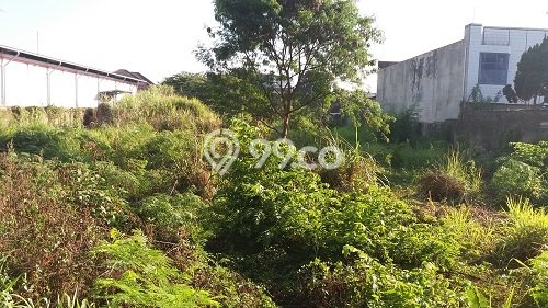 Lahan Disewakan Lokasi Soekarno Hatta Bandung Luas 1m2 Lahan Disewakan Lokasi Soekarno Hatta Bandung Luas 1m2