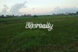 Tanah 3are harga 650jt/are view sawah Dilingkungan Wisata Tanah 3are harga 650jt/are view sawah Dilingkungan Wisata