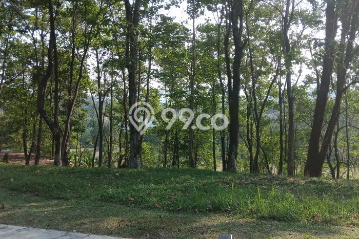 Tanah Investasi Dijual di Bogor Punya Luas 757m2 Tanah Investasi Dijual di Bogor Punya Luas 757m2