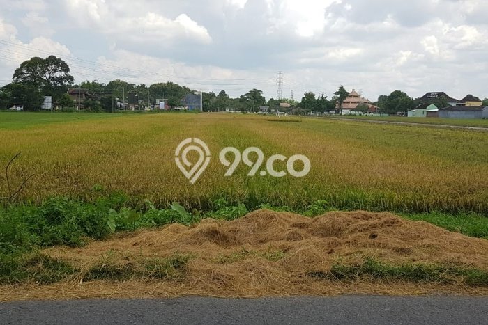 Jarang Ada! Tanah di Baki Punya Luas 1445m2 SHM Jarang Ada! Tanah di Baki Punya Luas 1445m2 SHM