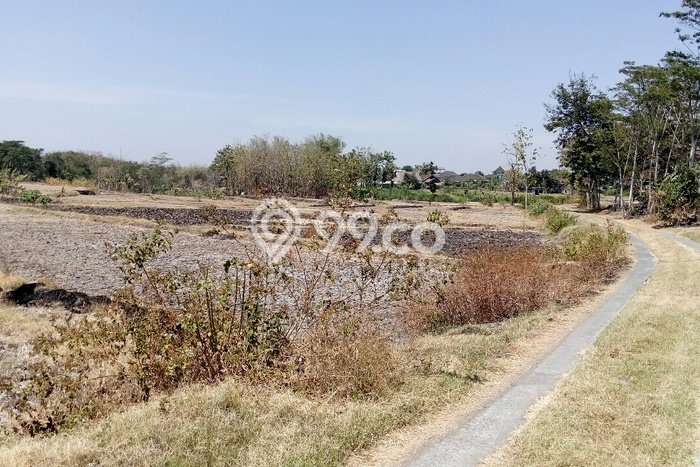 Jual Tanah Area Prospektif di Gondangrejo, Luas 2700m², Dekat Gondangrejo, Karanganyar, Karanganyar Jual Tanah Area Prospektif di Gondangrejo, Luas 2700m², Dekat Gondangrejo, Karanganyar, Karanganyar