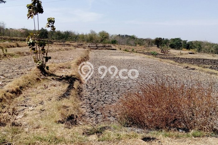 Jual Tanah Area Prospektif di Gondangrejo, Luas 2700m², Dekat Gondangrejo, Karanganyar, Karanganyar Jual Tanah Area Prospektif di Gondangrejo, Luas 2700m², Dekat Gondangrejo, Karanganyar, Karanganyar