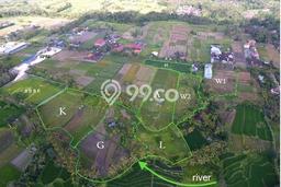 Tanah Dijual Lokasi Abiansemal, Badung Luas 21165m2 Legalitas Aman Tanah Dijual Lokasi Abiansemal, Badung Luas 21165m2 Legalitas Aman