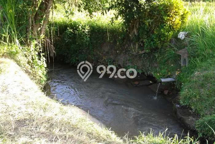 Tanah Dijual Lokasi Abiansemal, Badung Luas 21165m2 Legalitas Aman Tanah Dijual Lokasi Abiansemal, Badung Luas 21165m2 Legalitas Aman