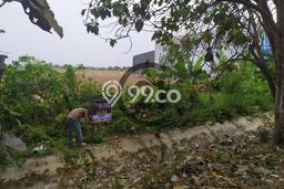 Tanah untuk Dijual Lokasi Pontang, Serang Luas 1900m2 SHM Tanah untuk Dijual Lokasi Pontang, Serang Luas 1900m2 SHM