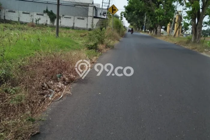 Tanah Siap Bangun Dijual di Sidoarjo Punya Luas 20000m2 Tanah Siap Bangun Dijual di Sidoarjo Punya Luas 20000m2
