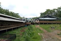 Tanah untuk Dijual di Tanjungsari Bogor Luas 9468m2 Tanah untuk Dijual di Tanjungsari Bogor Luas 9468m2