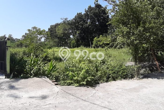 Dijual Tanah Lokasi Kartosuro, Sukoharjo Seluas 4300m2 Dijual Tanah Lokasi Kartosuro, Sukoharjo Seluas 4300m2