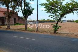Tanah Dijual Lokasi Tasikmadu, Karanganyar dengan Luas Tanah 5150m2 dan Status SHM Tanah Dijual Lokasi Tasikmadu, Karanganyar dengan Luas Tanah 5150m2 dan Status SHM