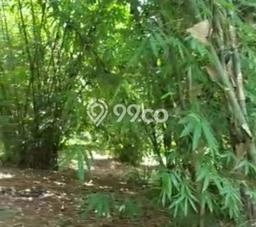 Lahan Kosong Dijual di Jonggol, Bogor, Luas 460000m2 Area Strategis Lahan Kosong Dijual di Jonggol, Bogor, Luas 460000m2 Area Strategis