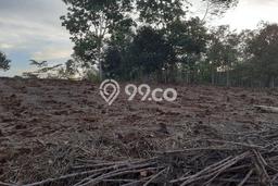 Tanah untuk Dijual di Cikembar Sukabumi Luas 7000m2 Tanah untuk Dijual di Cikembar Sukabumi Luas 7000m2