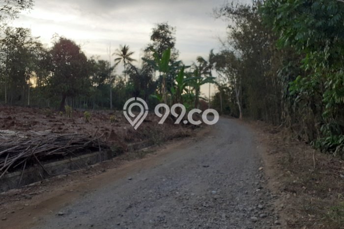Tanah untuk Dijual di Cikembar Sukabumi Luas 7000m2 Tanah untuk Dijual di Cikembar Sukabumi Luas 7000m2