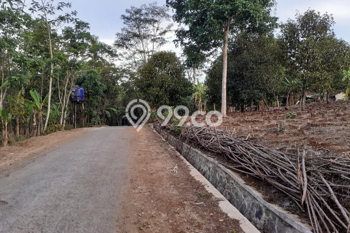 Tanah untuk Dijual di Cikembar Sukabumi Luas 7000m2 Tanah untuk Dijual di Cikembar Sukabumi Luas 7000m2