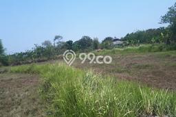 Kavling Tanah Dijual di Cisoka Tangerang Spesifikasi 3300m2 Kavling Tanah Dijual di Cisoka Tangerang Spesifikasi 3300m2