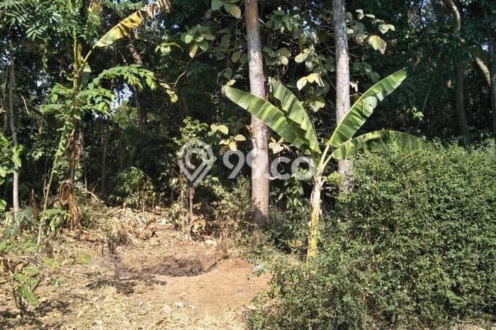 Lahan Investasi Lokasi Susukan Semarang SHM Lahan Investasi Lokasi Susukan Semarang SHM