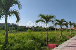Want to be the next billionaire ?? Buy this beach front land now !! good for bussiness and investment Want to be the next billionaire ?? Buy this beach front land now !! good for bussiness and investment