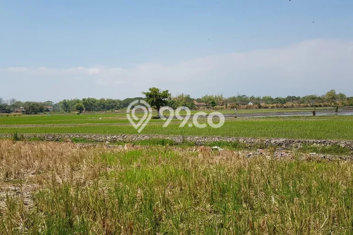 Tanah untuk Dijual di Kraton Pasuruan Luas 6350m2 Tanah untuk Dijual di Kraton Pasuruan Luas 6350m2