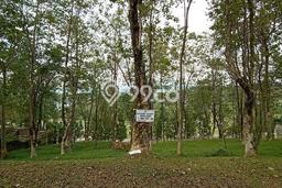 Tanah Dijual Area Strategis di Sentul City Bogor 847m2 Tanah Dijual Area Strategis di Sentul City Bogor 847m2