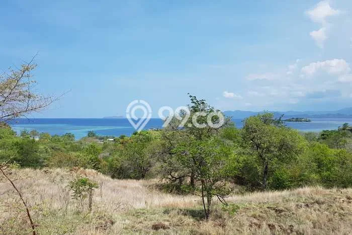 Dijual Tanah Lokasi Labuan Bajo, Manggarai Barat Seluas 70000m2 Dijual Tanah Lokasi Labuan Bajo, Manggarai Barat Seluas 70000m2